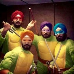 Teenage mutant ninja turtles CECA INDIA Meme Template