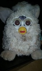 Burtonsville Tim Chambers Furby 2.0 Meme Template