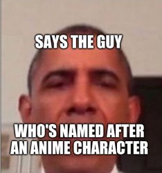 Says the guy who's named after an anime character Meme Template