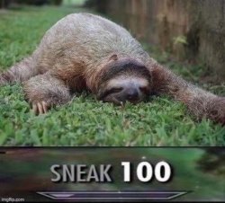 Sloth sneak 100 jpeg degrade Meme Template