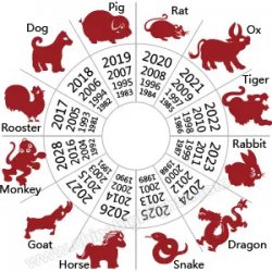 the Chinese Zodiac Meme Template