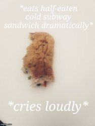 Subway sandwich Meme Template