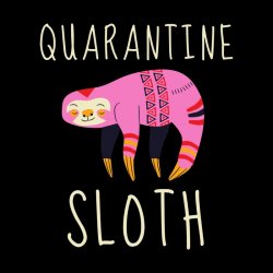 Quarantine sloth Meme Template