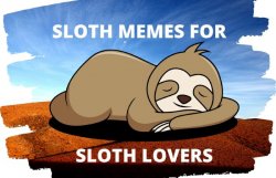 Sloth memes for sloth lovers Meme Template
