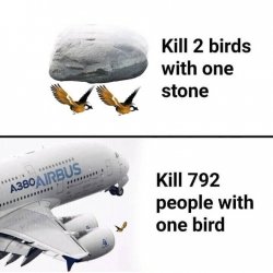 Kill 2 birds with one stone Meme Template