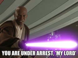 you are under arrest- 'my lord' Meme Template