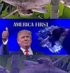 America First sloths 2 Meme Template