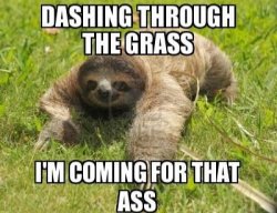 Sloth dashing through the grass Meme Template