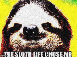 The sloth life chose me deep-fried 1 Meme Template
