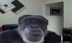 monke see Meme Template