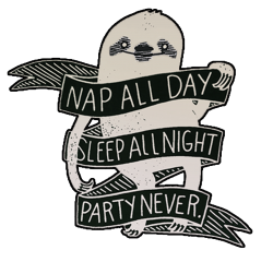 Sloth nap all day sleep all night party never Meme Template