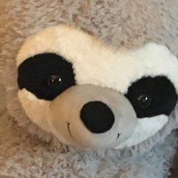 Sloth stuffed animal Meme Template