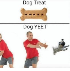 Dog Treat, Dog Yeet Meme Template