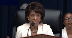 Maxine Waters dumb looking face Meme Template