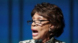 Maxine Waters open mouth 8 Meme Template