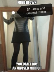 Mirror Meme Template