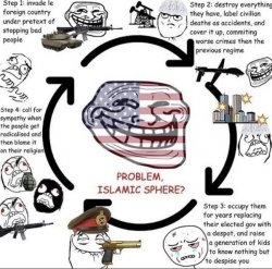 USA Meme Template