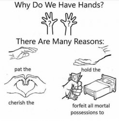 Why do we have hands Meme Template