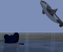 Crippled orca and high orca Meme Template