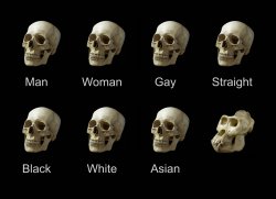 skull Meme Template