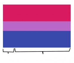 Bisexual flag Meme Template