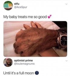 Werewolf love Meme Template
