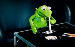 Kermit Spirals Out Of Control Meme Template