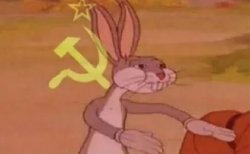 Communism kangaroo Meme Template