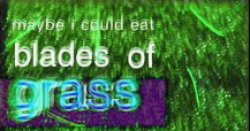 Maybe I could eat blades of grass Meme Template