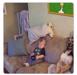 Toddler and dog on sofa Meme Template