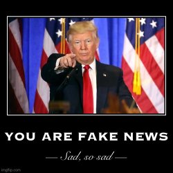 Donald Trump you are fake news sad so sad Meme Template