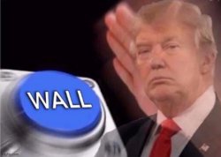 trump wall button Meme Template