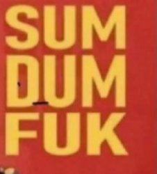 Sum Dum Fuk Meme Template