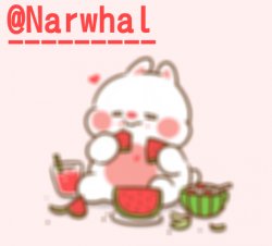 narwhal announcement temp Meme Template