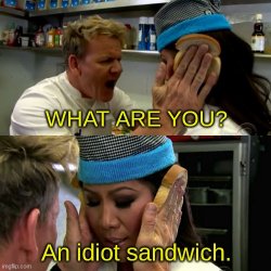 Gordon Ramsay idiot sandwich with text Meme Template