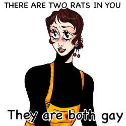 gay rats Meme Template