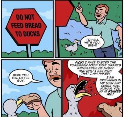 Do not feed bread to ducks Meme Template