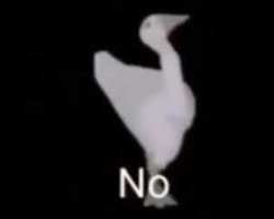 Goose no Meme Template