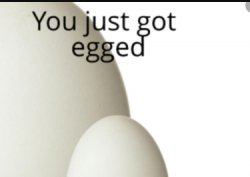 you just got egged Meme Template