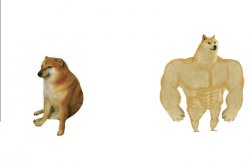 Cheems vs Buff Doge Meme Template