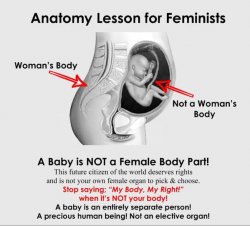 Anatomy Lesson for Feminists Meme Template