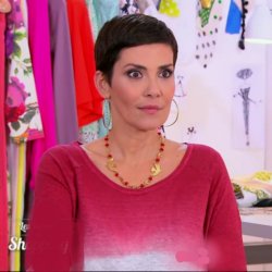 Cristina Cordula this is not true (squared) Meme Template