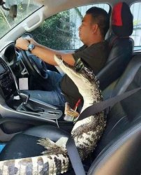 Florida Man’s Pet Gator Meme Template