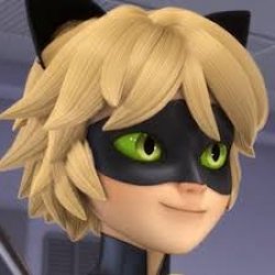 Cat nior looking to the right maraculess ladybug Meme Template