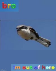 realistic bro im out of here bird Meme Template