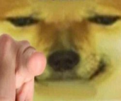 Pointing Doge Meme Template