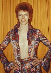 David Bowie hands on hips Meme Template