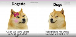 Doge vs Dogette Meme Template