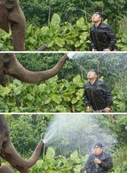 Elephant and man spraying each other with water Meme Template