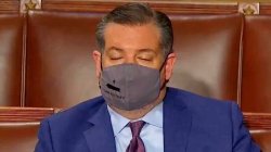 Sleepy Ted Cruz Meme Template